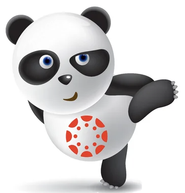 Image of panda with Canvas logo