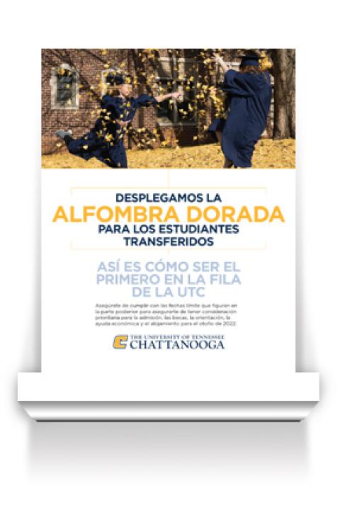Gold Carpet Flyer for Transfer Spanish