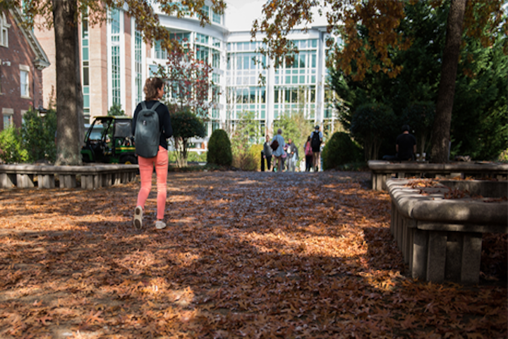 Student walking toward the library with leaves on the ground