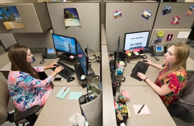 Interns working at their desk